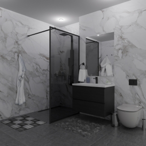SHOWER GLASS GK-24-8мм черный матовый стекло графитовое толщина 8_0