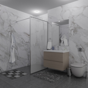 SHOWER GLASS GK-24-8мм хром блестящий стекло матовое толщина 8_0