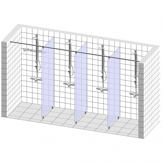 Душевая перегородка GLASS LINE GK-013C