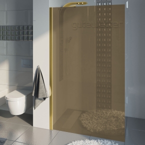 Душевая перегородка TREND DOOR GK-861NAP